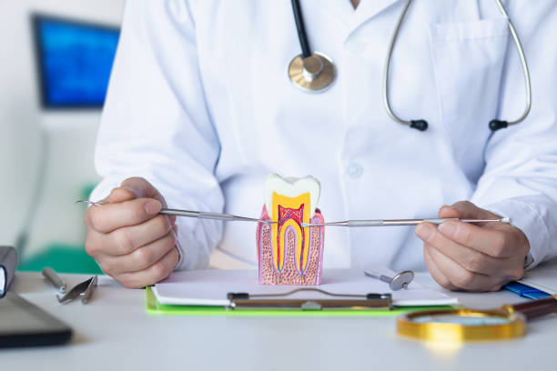 Best Weekend Emergency Dentist in New City, NY
